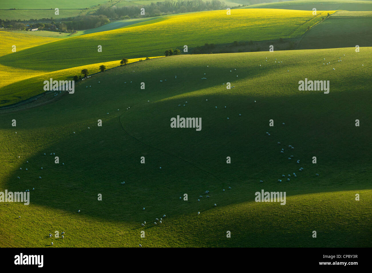 Frühling Morgen in South Downs National Park, East Sussex, England. Stockfoto