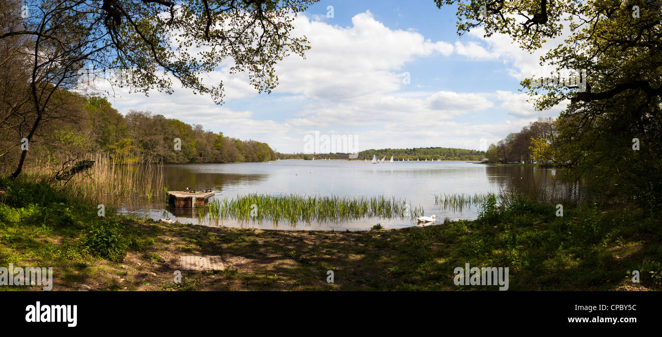 Panorama von Frensham Pond in Surrey Stockfoto