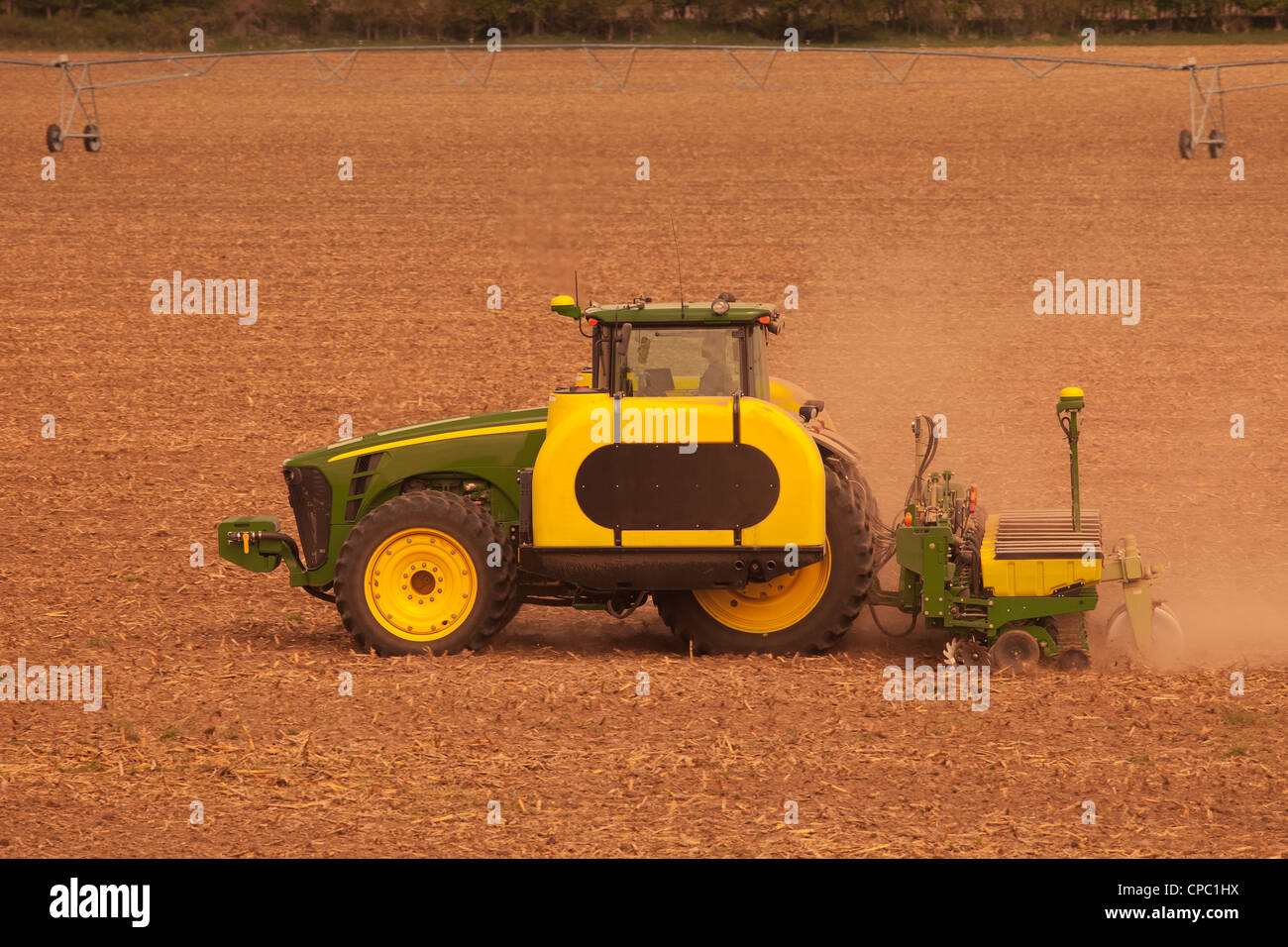 Mais Pflanzen Stockfoto