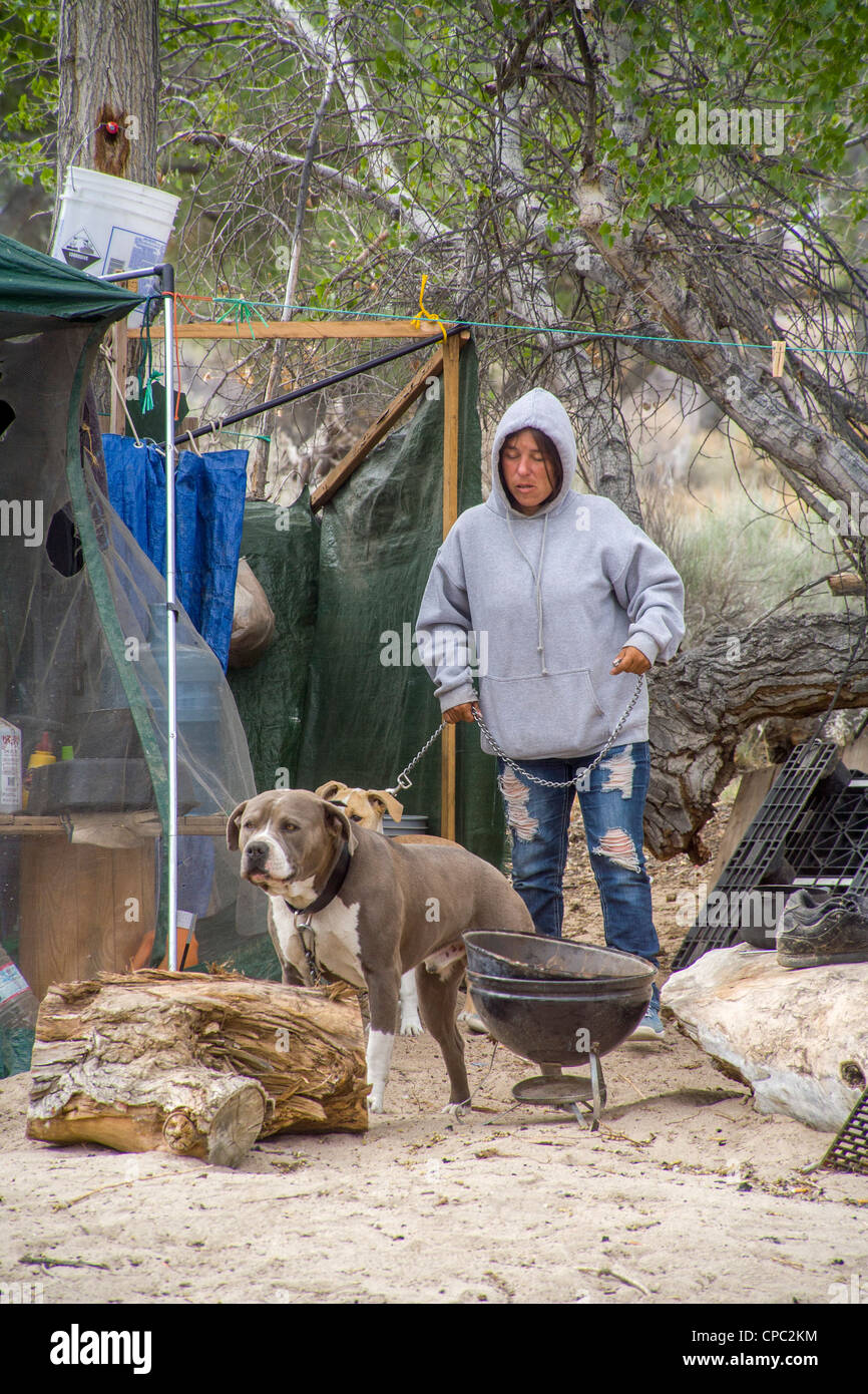 Eine Obdachlose Frau und ihren Hunden leben in einer Leinwand-Hütte in ein Outdoor-Lager in der Wüste Stadt Victorville, CA. Stockfoto