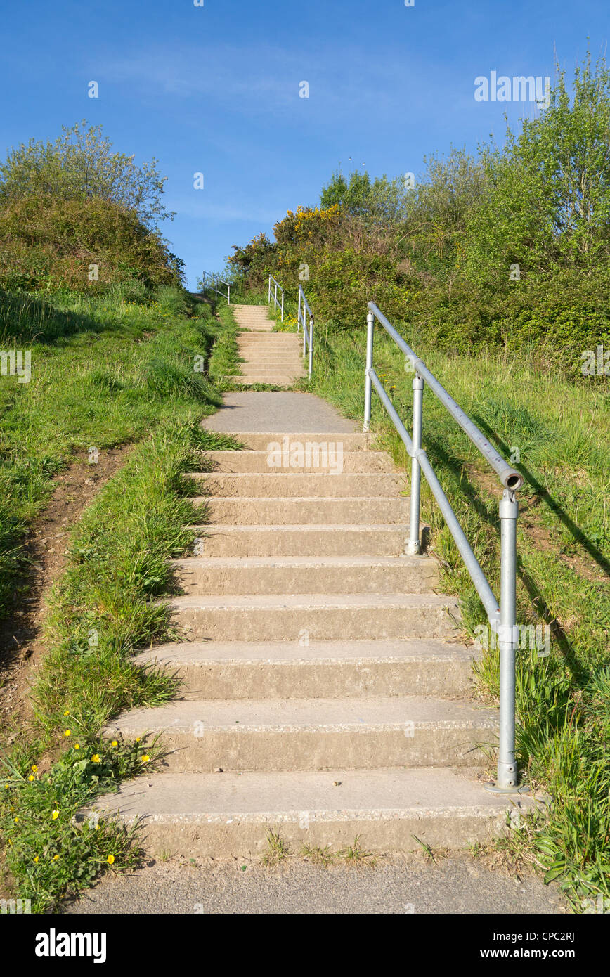 Viele Stufen Beton Treppe in Tuckingmill Valley Park nahe Camborne, Cornwall UK. Stockfoto