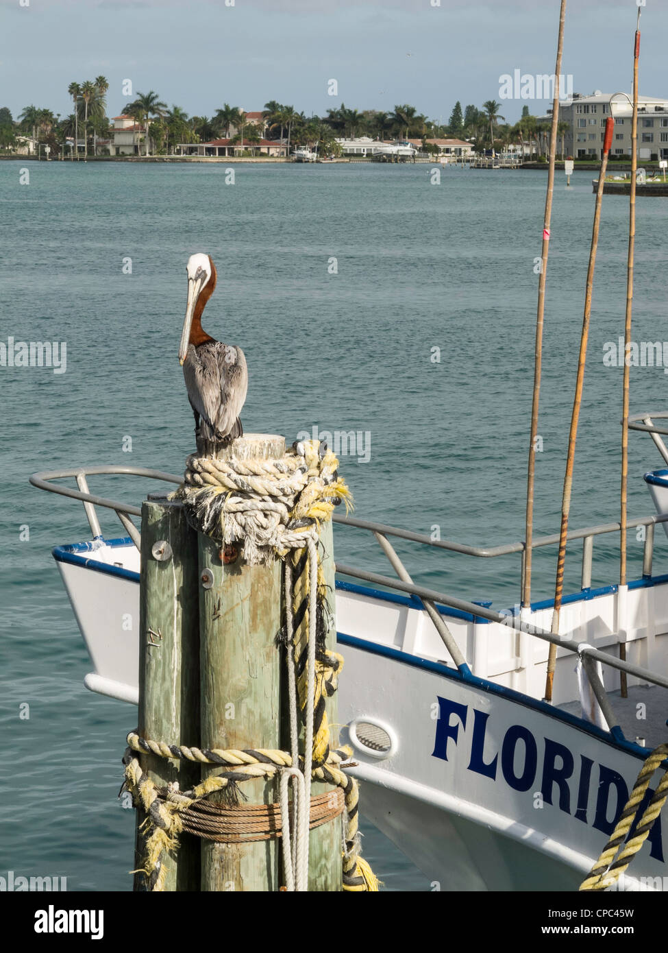 John's Pass Village, Madeira Beach, Florida Stockfoto