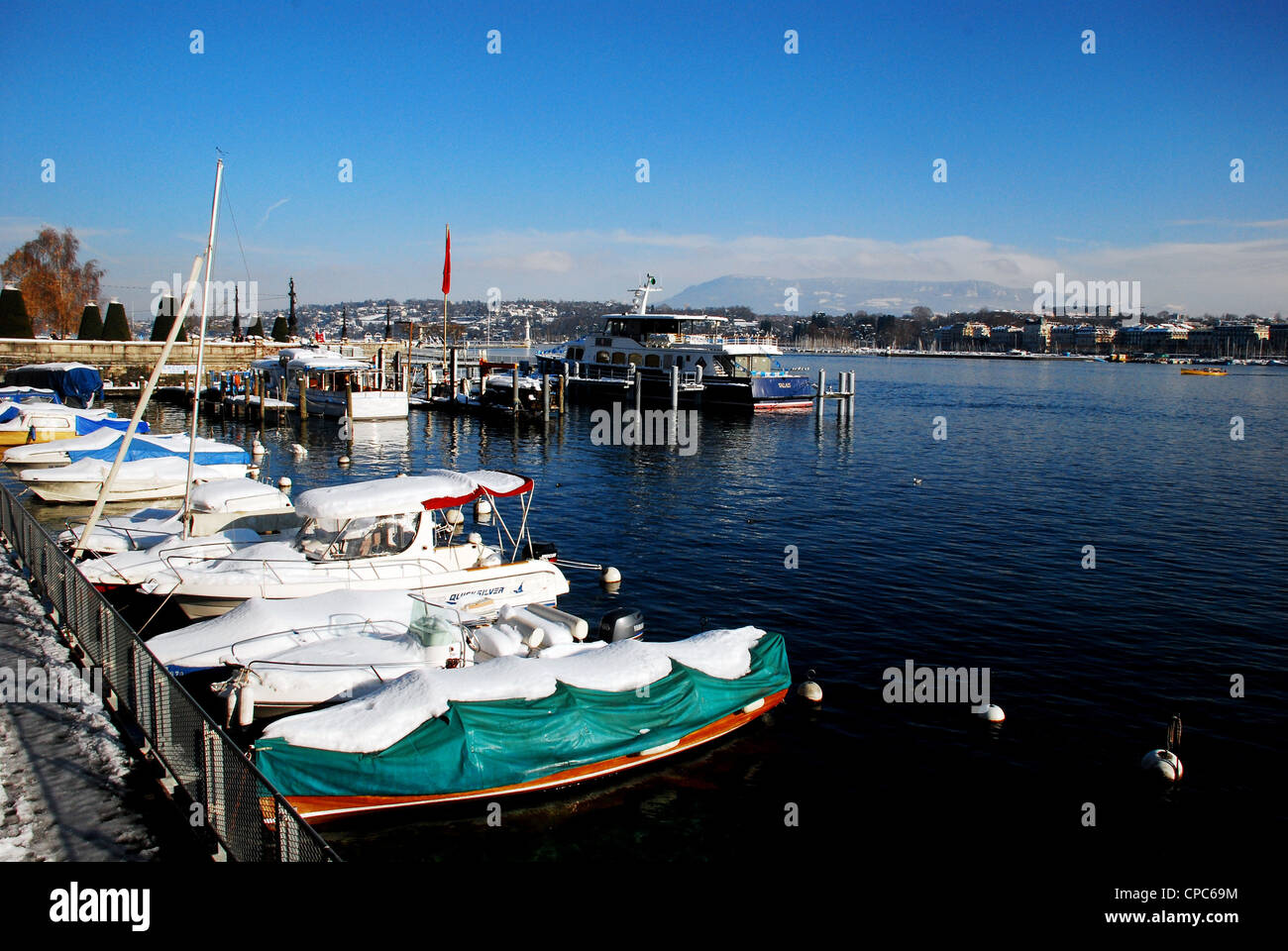 Segelboote verankert in einem Hafen in Genf, Schweiz Stockfoto