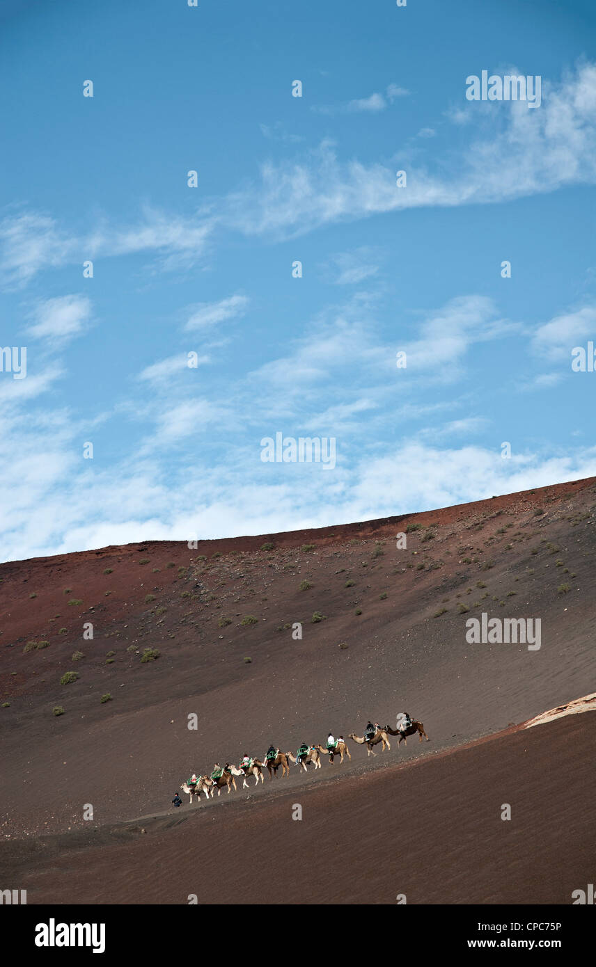 Reiten auf Kamelen als touristische Attraktion im Timanfaya-Nationalpark auf der Insel Lanzarote. Stockfoto