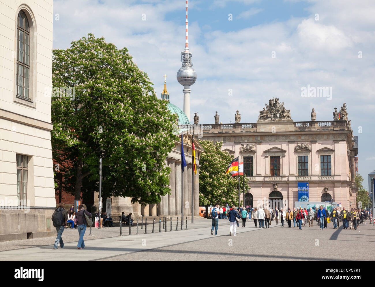 Unter Den Linden Berlin, Deutschland Stockfoto