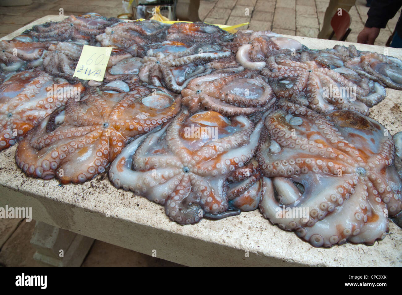 Adriatischen Meeresfrüchte Tintenfisch Tintenfisch in Fischmarkt Grad der alten Stadt Split Stadt dalmatinischen Küste Kroatien Europa Stockfoto