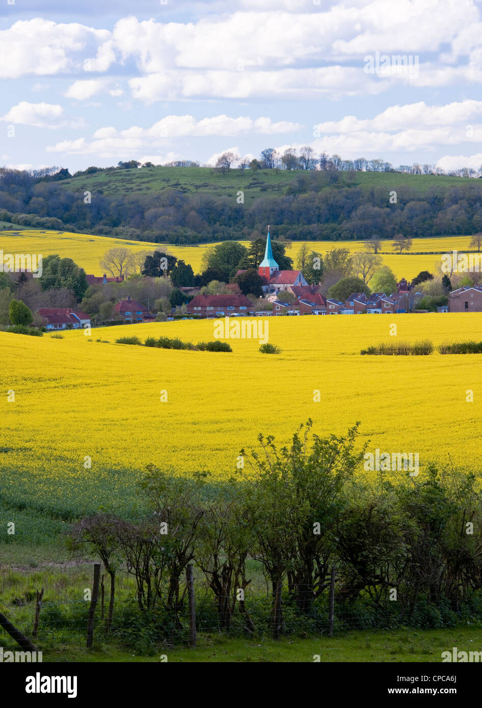 South Harting West Sussex mit Raps Feld und Kupfer Turm der Kirche St Mary und St. Gabriel Stockfoto