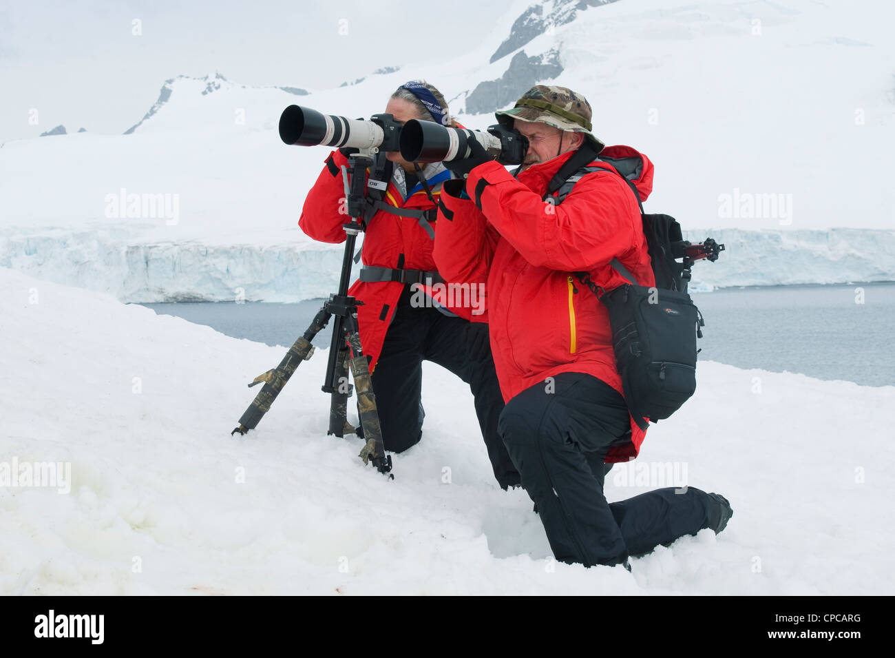 Pinguine in der Antarktis Schnee, antarktische Halbinsel, fotografieren Stockfoto