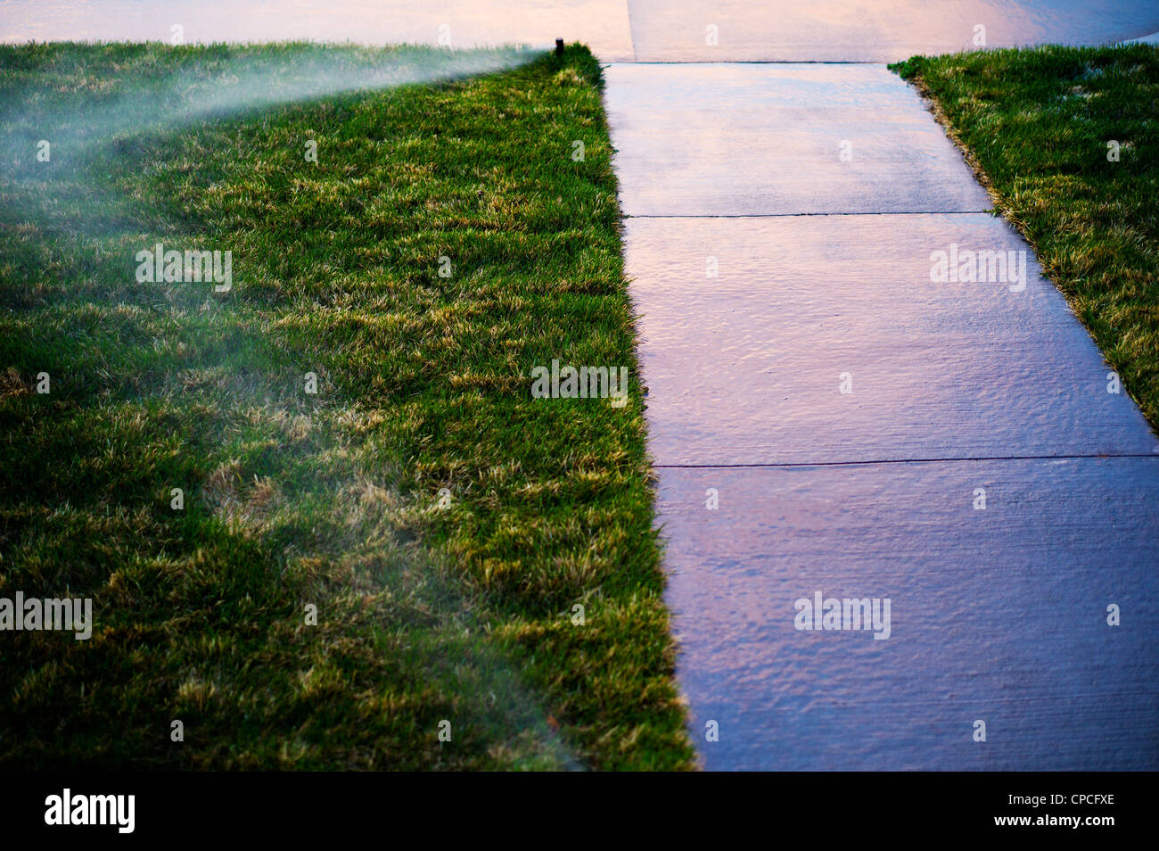 Sonnenuntergang Farben reflektieren auf einem nassen Bürgersteig. Automatisches Bewässerungssystem Wasser Rasen auf dem Grundstück ein Wohnhaus Stockfoto