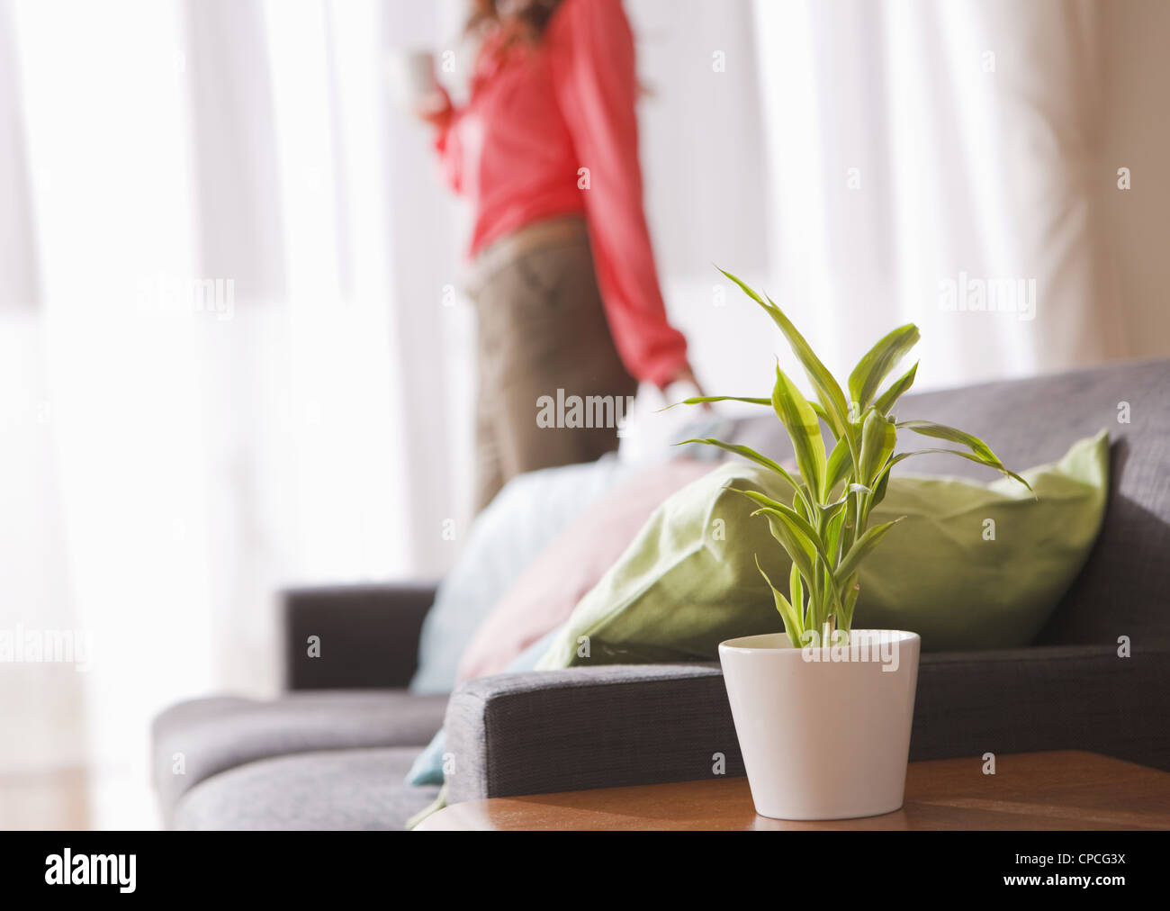 Frau und eine Blattpflanze in einem Wohnzimmer Stockfoto