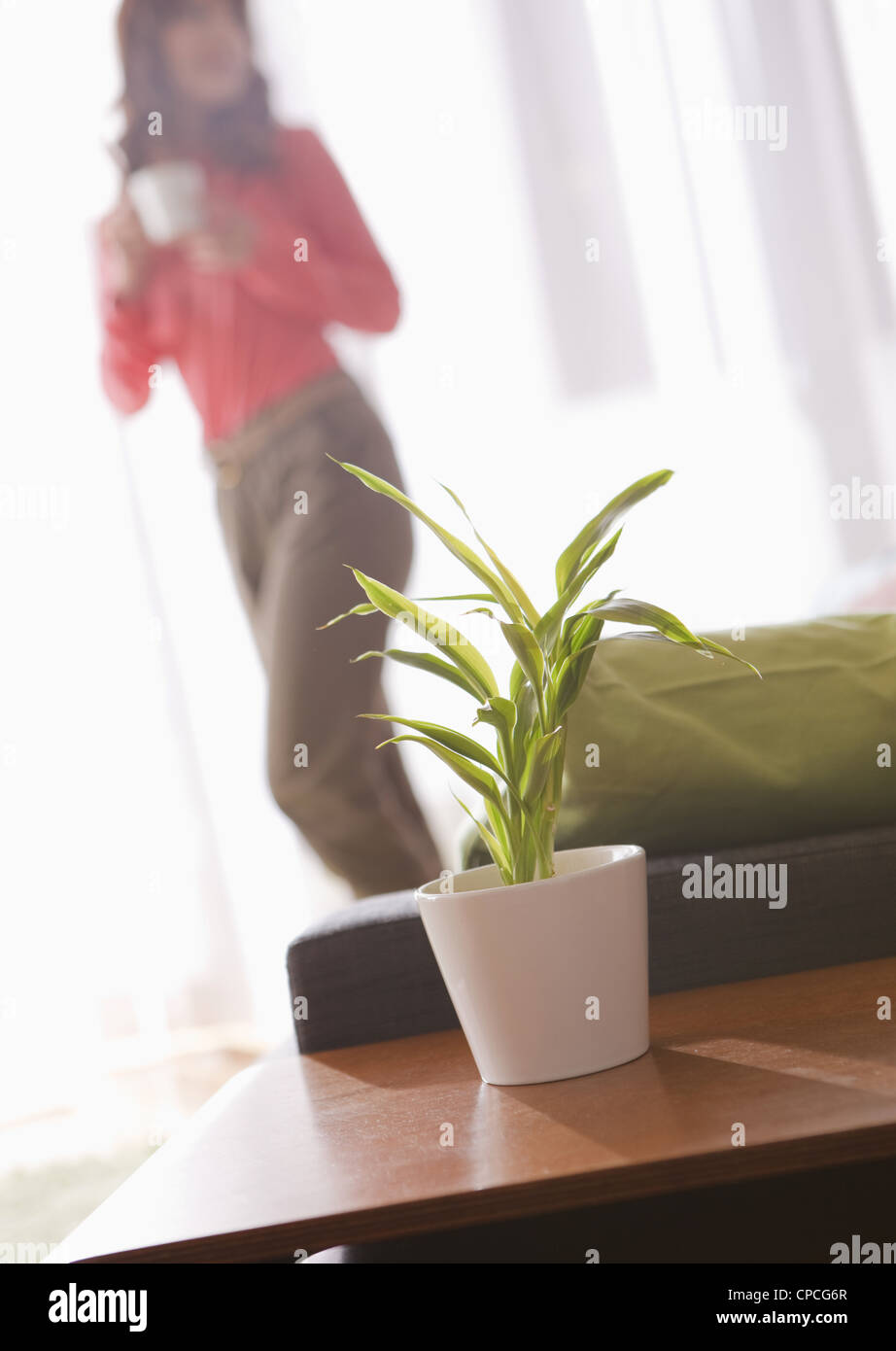 Frau und eine Blattpflanze in einem Wohnzimmer Stockfoto