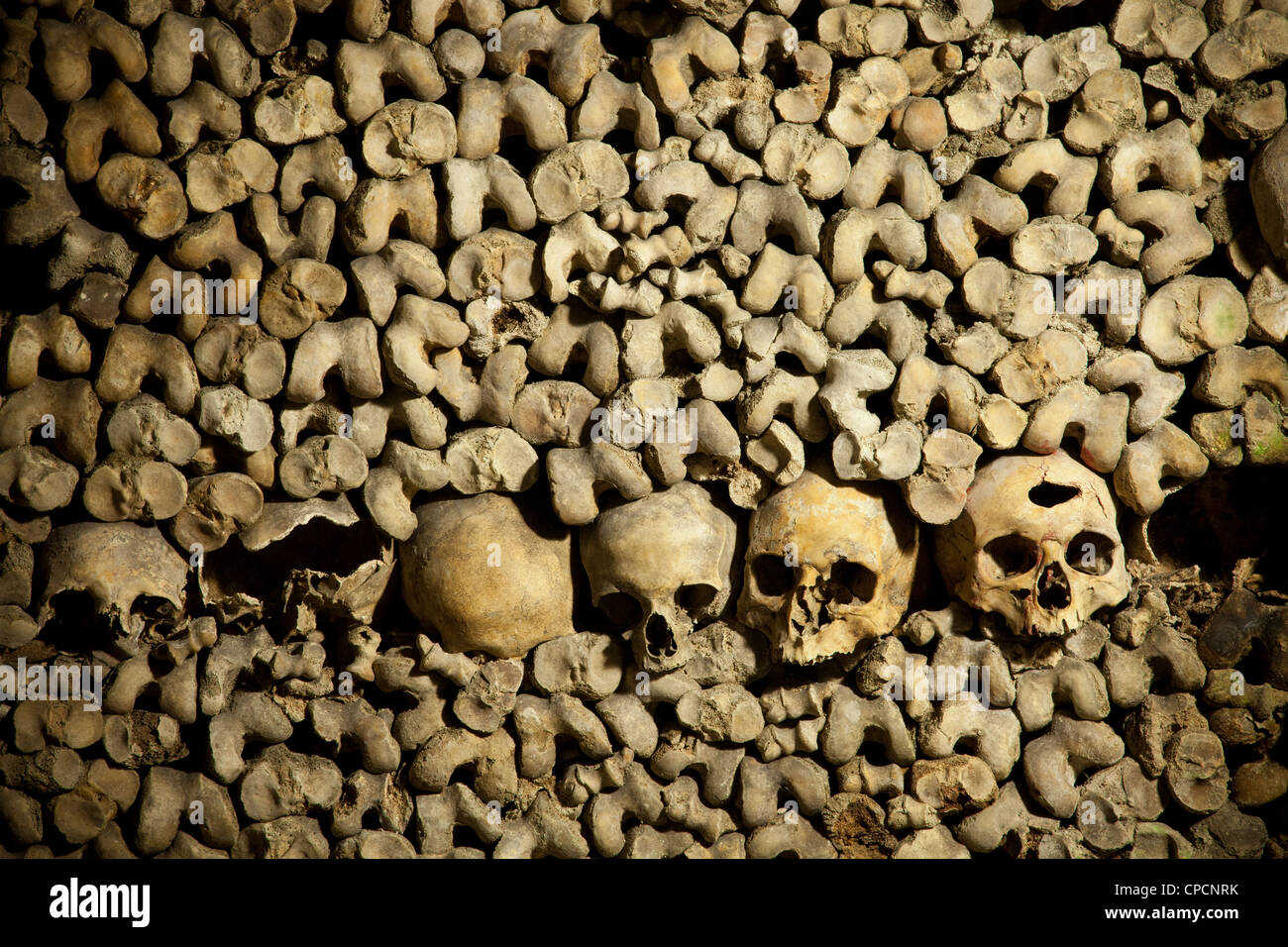 Zeile der Schädel in den Katakomben von Paris. Paris, Frankreich. Stockfoto