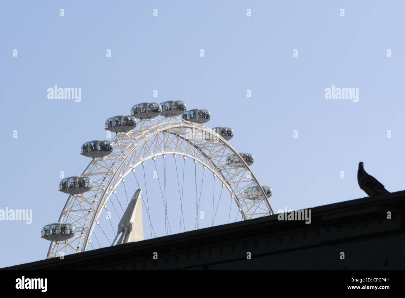 Das London Eye mit einer Taube im Vordergrund, von Hungerford Bridge, London, England, UK. Stockfoto