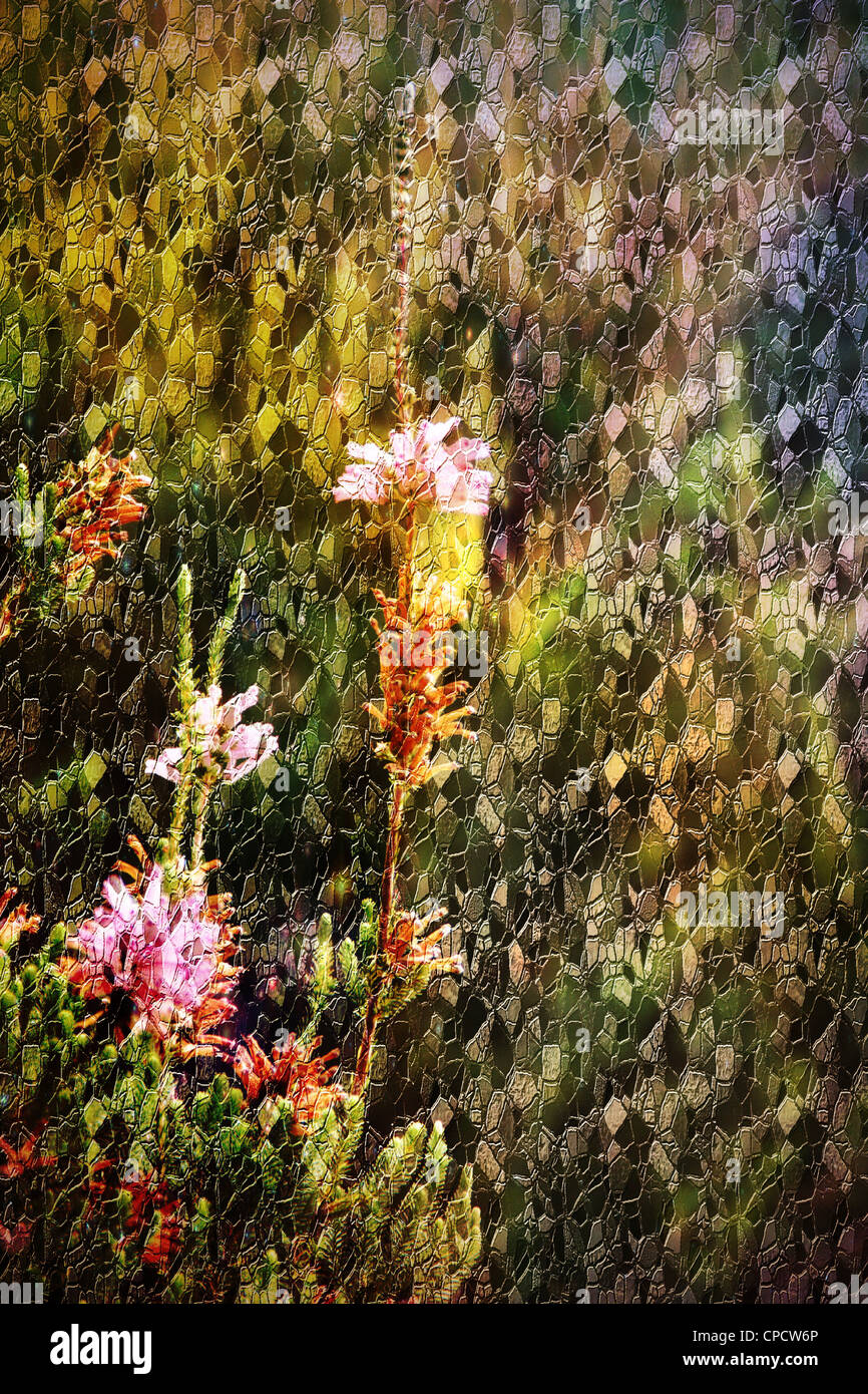 Abstrakte digitale Blumenkunst Stockfoto