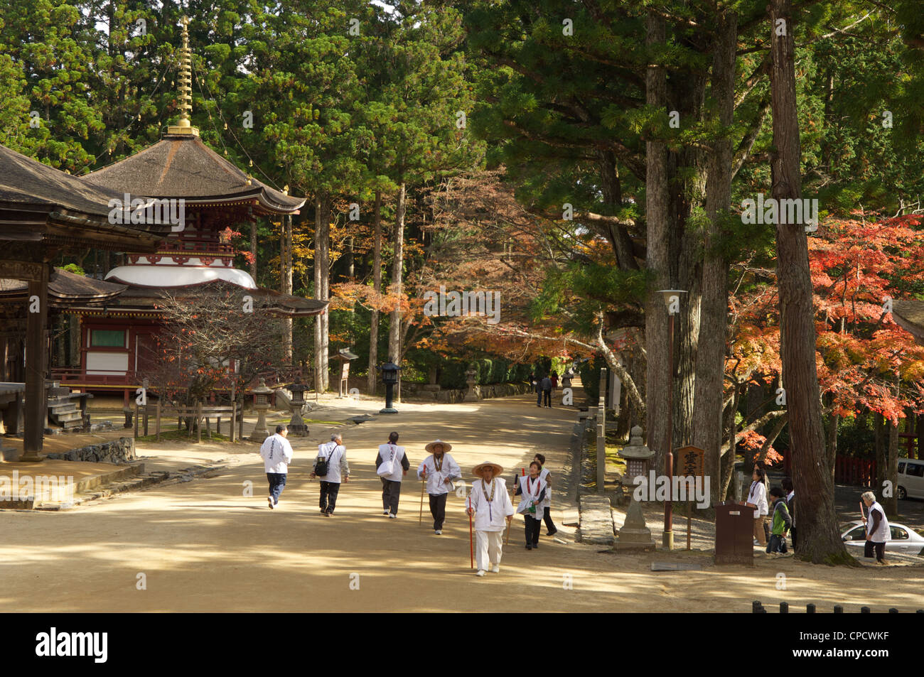 Danjo Garan Komplex, Koyasan, Honshu, Japan Stockfoto