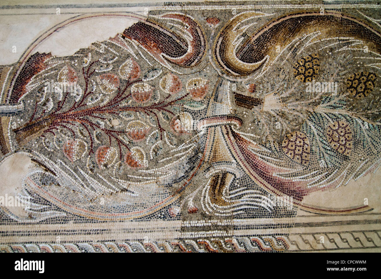 Der gute Samariter-Museum beherbergt eine Sammlung von Mosaiken aus Israel und dem Westjordanland. Stockfoto