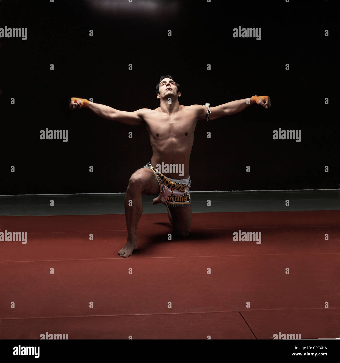 Boxer auf Matte kniend Stockfoto