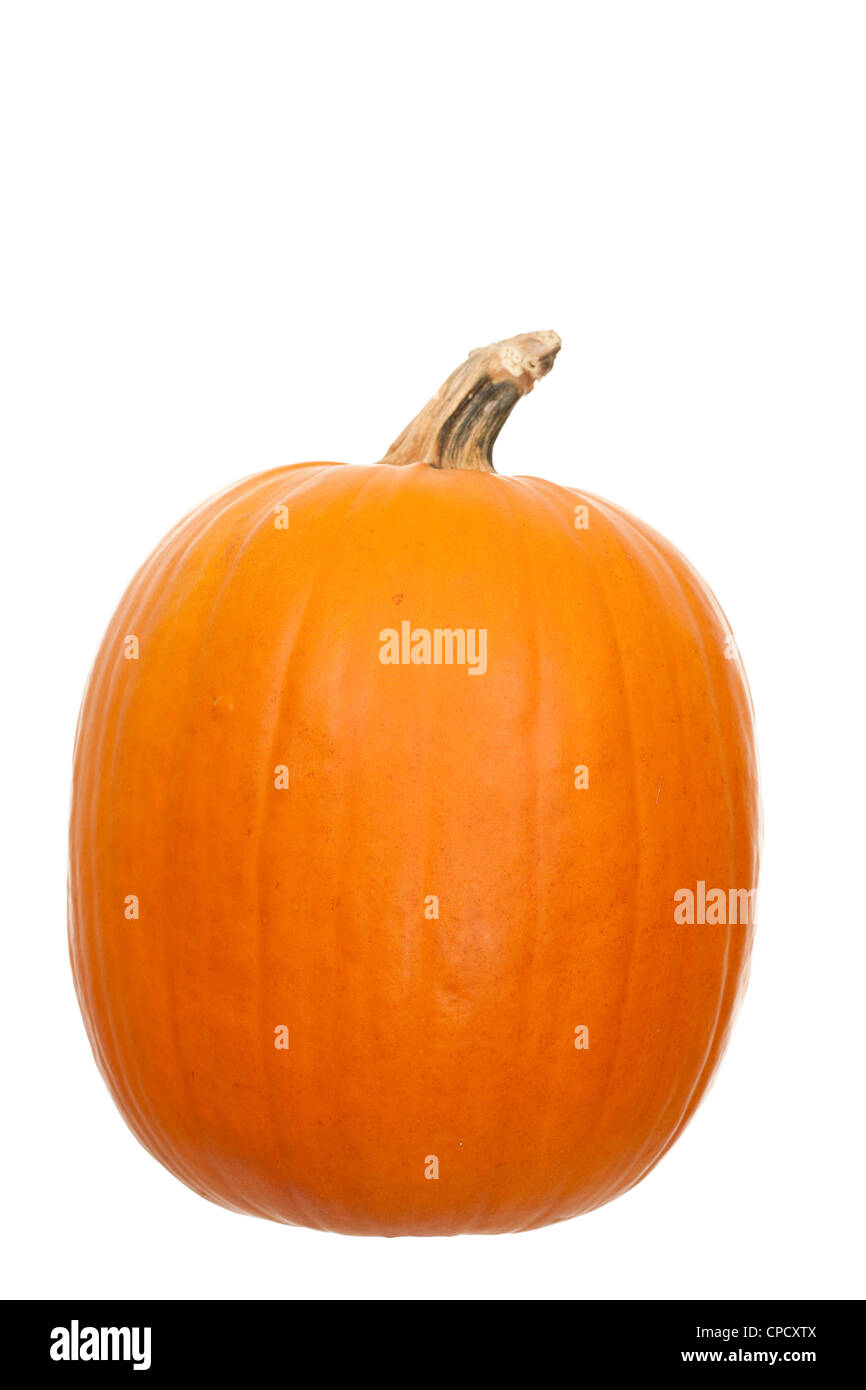 kleine ganze Kürbis auf weißem Hintergrund Stockfoto