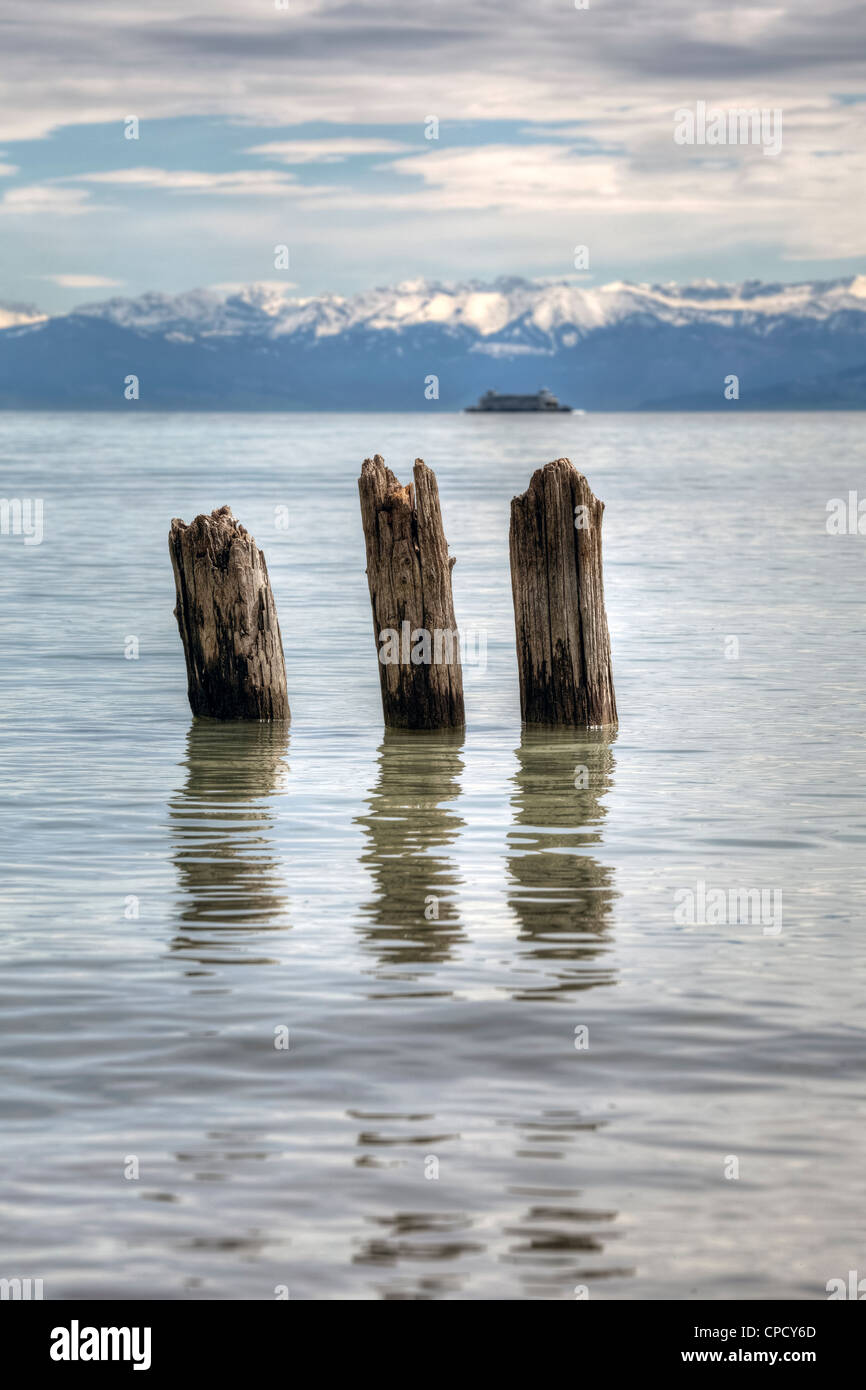drei gebrochene Holzpfähle im Bodensee, Blick auf die Santis Stockfoto