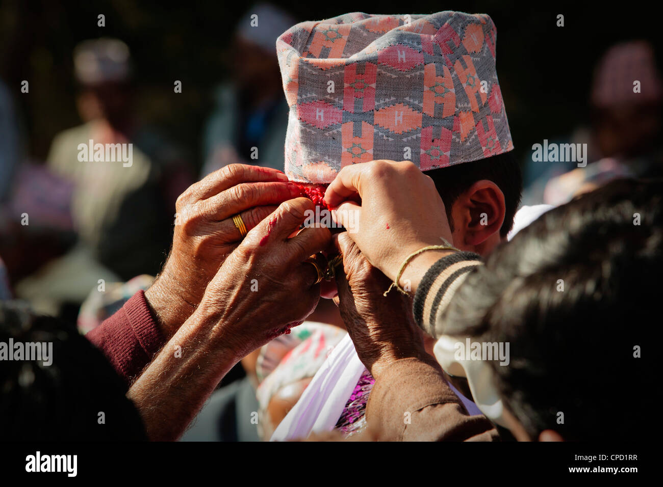 Bräutigam mit Tikka angewendet, indem seine Familie bei einem nepalesischen Trauung, Pokhara, Nepal, Asien Stockfoto
