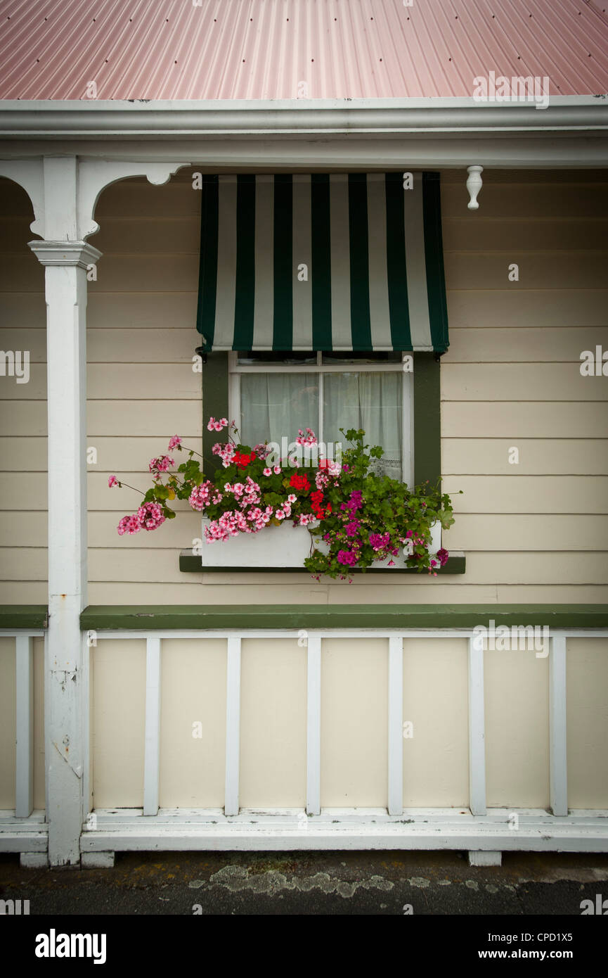 Greytown, North Island, Neuseeland, Pazifik Stockfoto