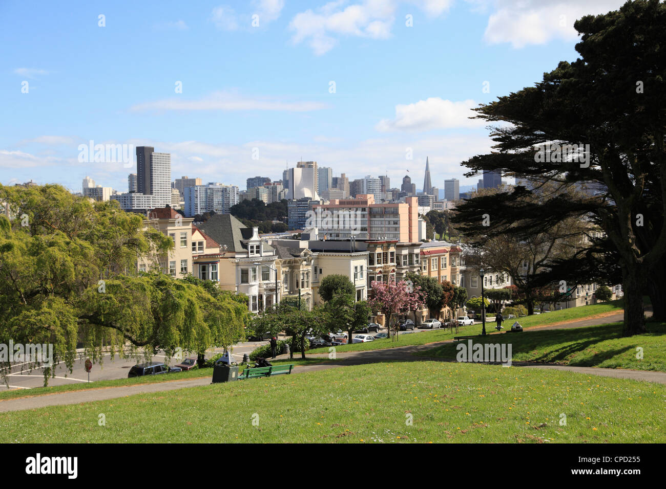 Skyline, Alamo Square, San Francisco, Kalifornien, Vereinigte Staaten von Amerika, Nordamerika Stockfoto