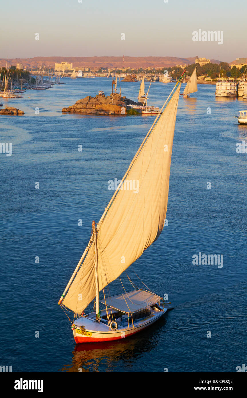 Feluken am Fluss Nil, Assuan, Ägypten, Nordafrika, Afrika Stockfoto
