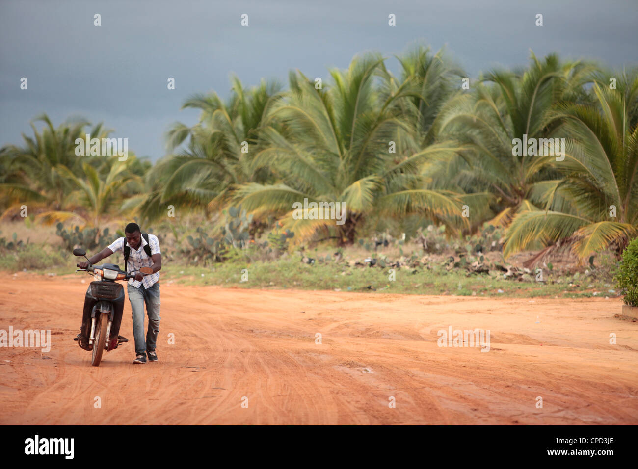 Afrikanische Straße, Ouidah, Benin, Westafrika, Afrika Stockfoto