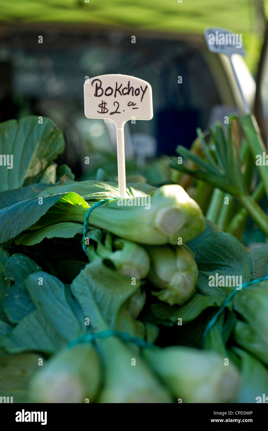 Ein Zeichen für Bok choy an ein Bauernmarkt Stockfoto