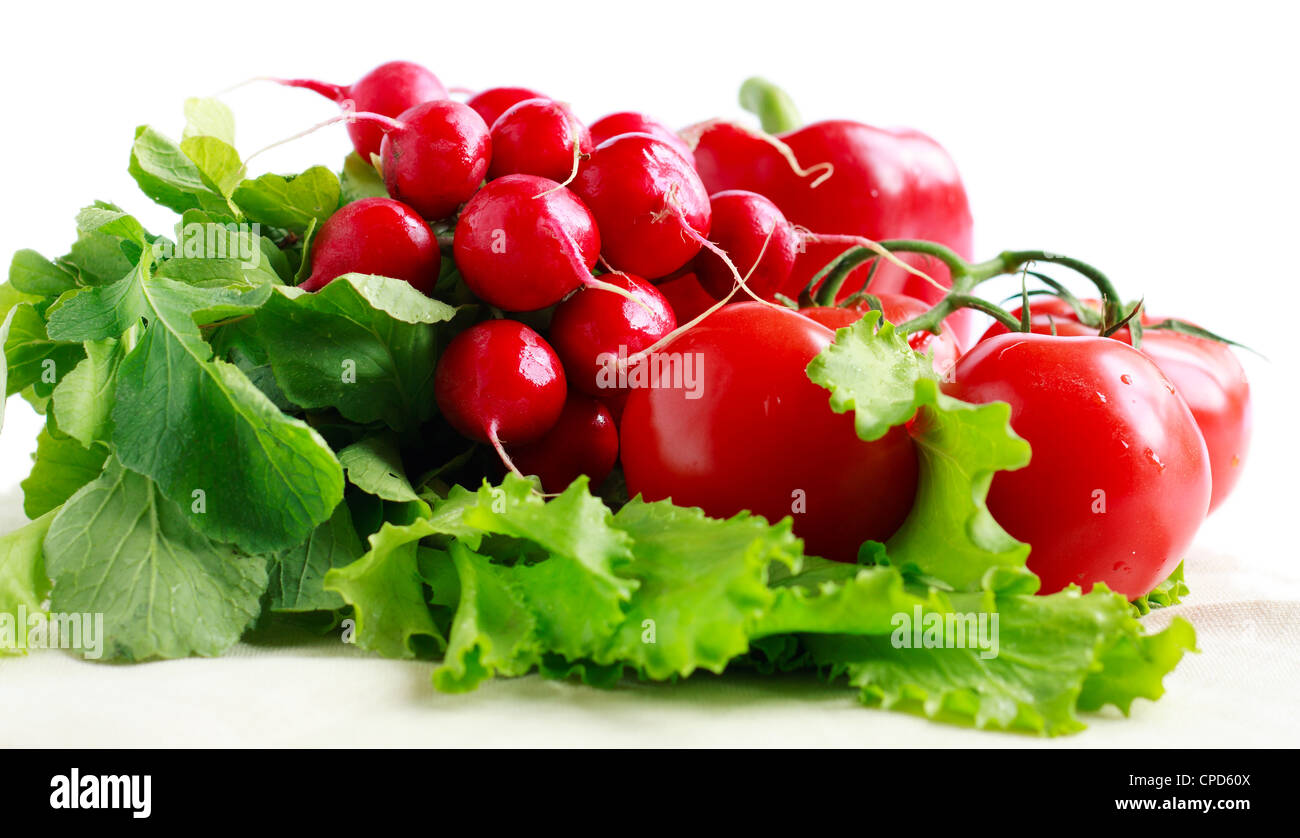 Viel frisches Gemüse: Radieschen, Tomaten, Pfeffer Stockfoto