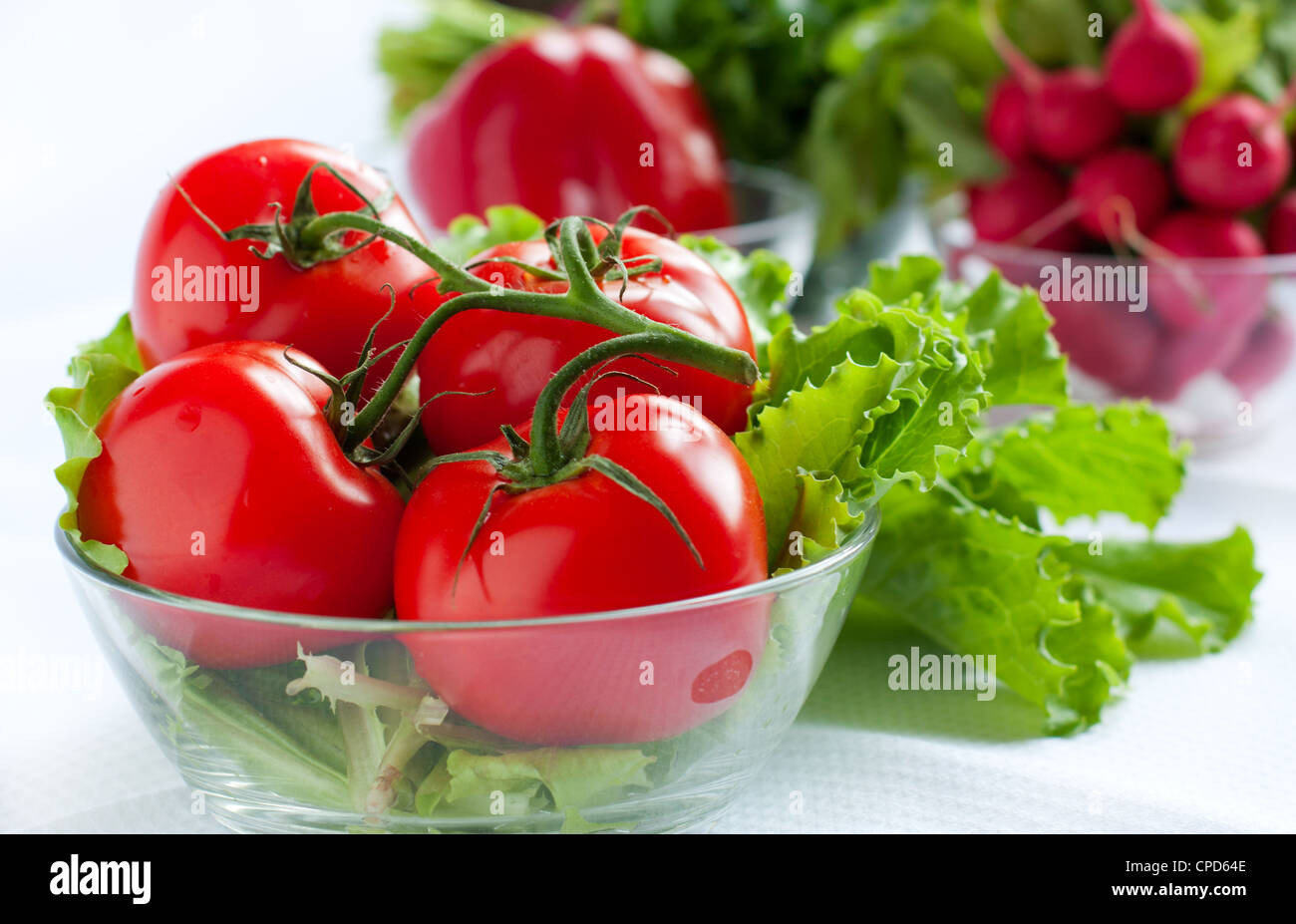 Tomaten auf dem Hintergrund der Rettich Stockfoto