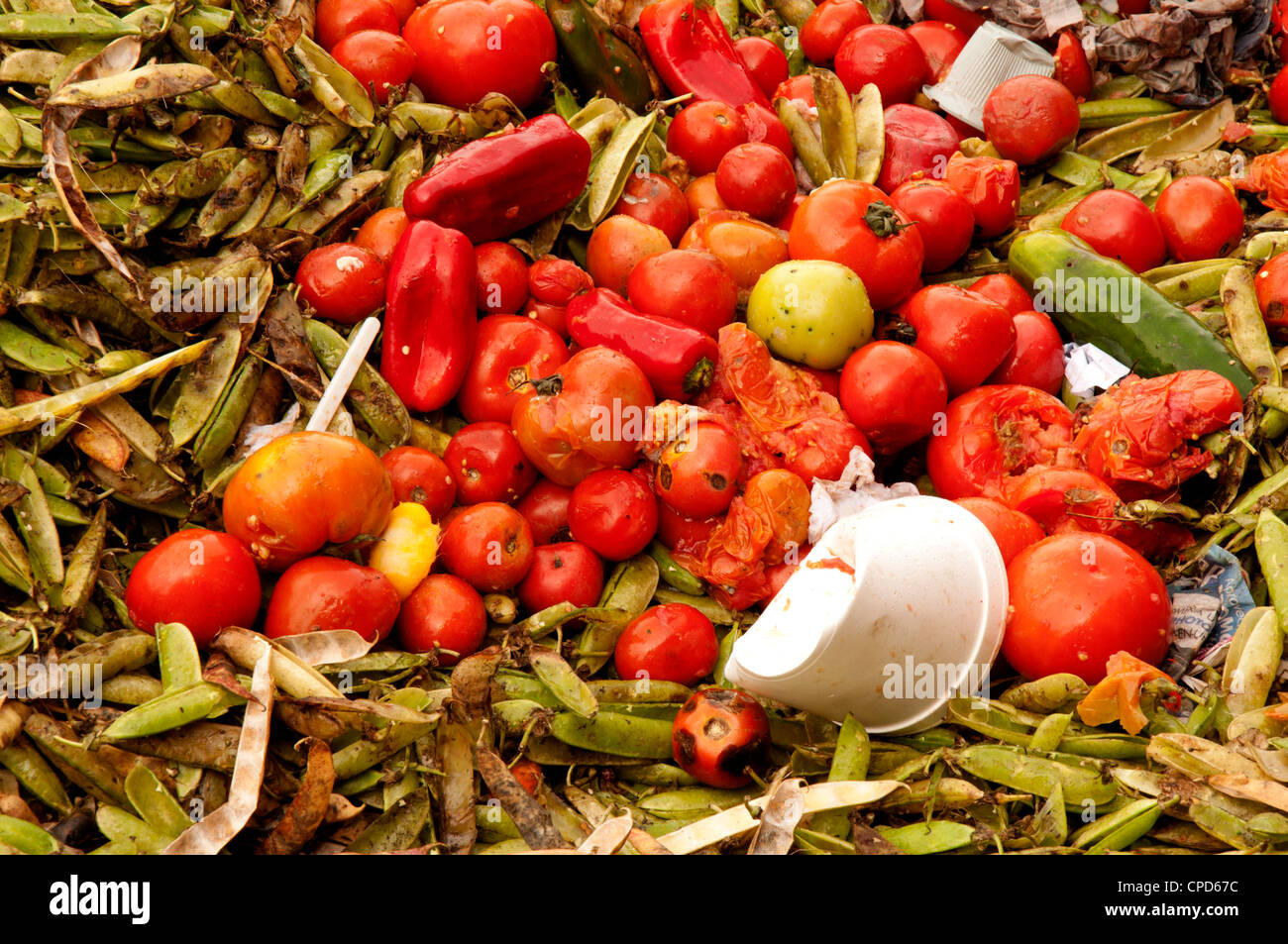 Papierkorb, Gemüse, Tomaten, Marktplatz, Kolumbien, Corabastos, Bogotá, Zersetzung, rot, Paprika, Gurke Stockfoto