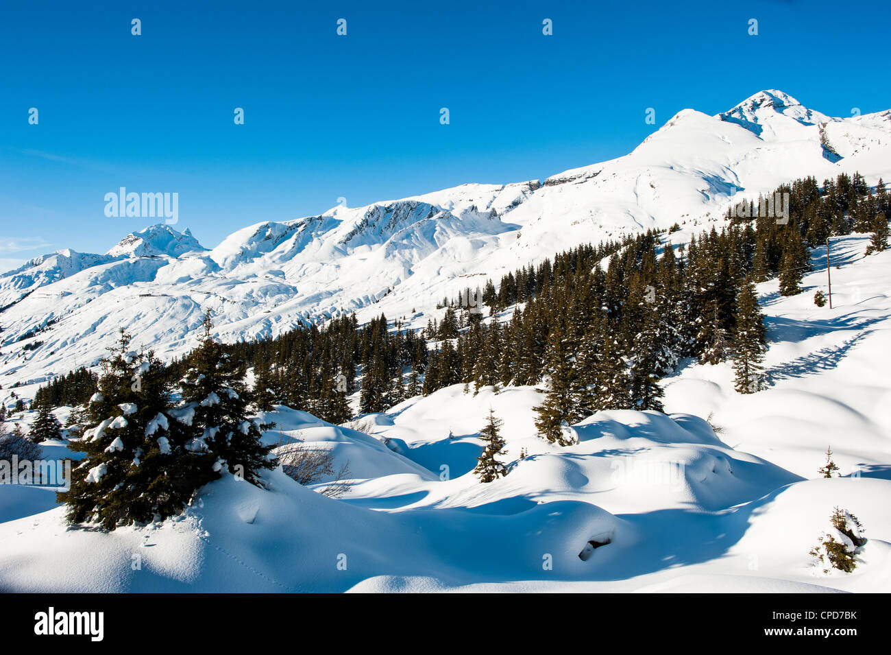 Winterpanorama über Grindelwald aus Grosse Scheidegg mit Faulhorn und First, Schweiz Stockfoto