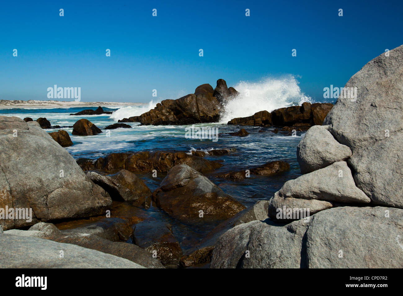 Wellen schlagen auf den Felsen auf der Wild-West Süd Afrika an der West Coast National Park. Stockfoto