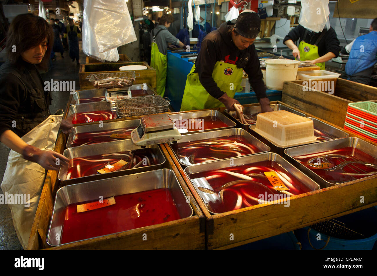 Tsukiji Fisch und Meeresfrüchte Großhandelsmarkt in den frühen Morgenstunden. Es ist die größte der Welt. Tokio, Japan. Stockfoto