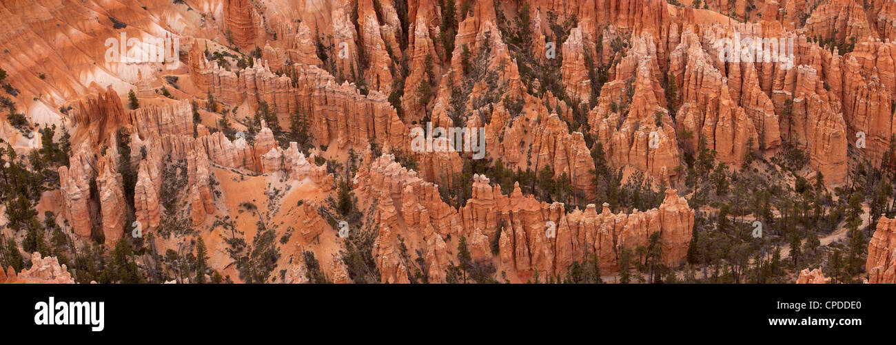 Bryce-Canyon-Nationalpark im Süden von Utah. Robust und dramatischen roten Stein Felsen, Berge und Tal. Don Despain Stockfoto