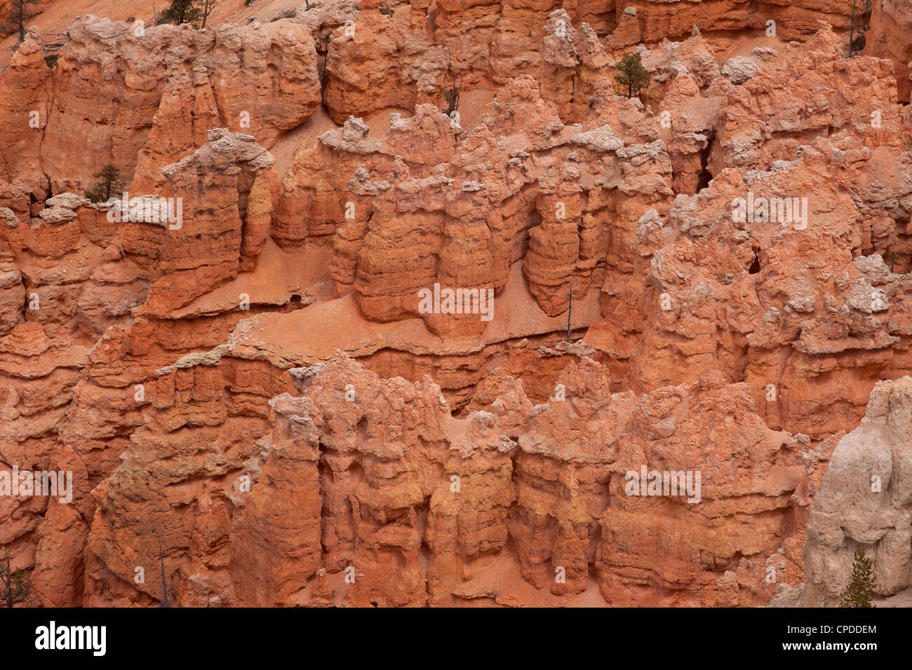 Bryce-Canyon-Nationalpark im Süden von Utah. Robust und dramatischen roten Stein-Klippen. Don Despain Stockfoto