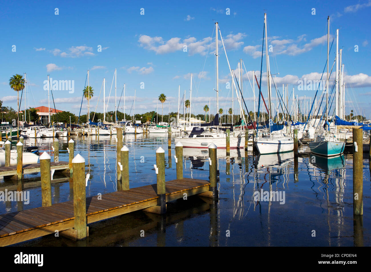 Marina, St. Petersburg, Golfküste, Florida, Vereinigte Staaten von Amerika, Nordamerika Stockfoto