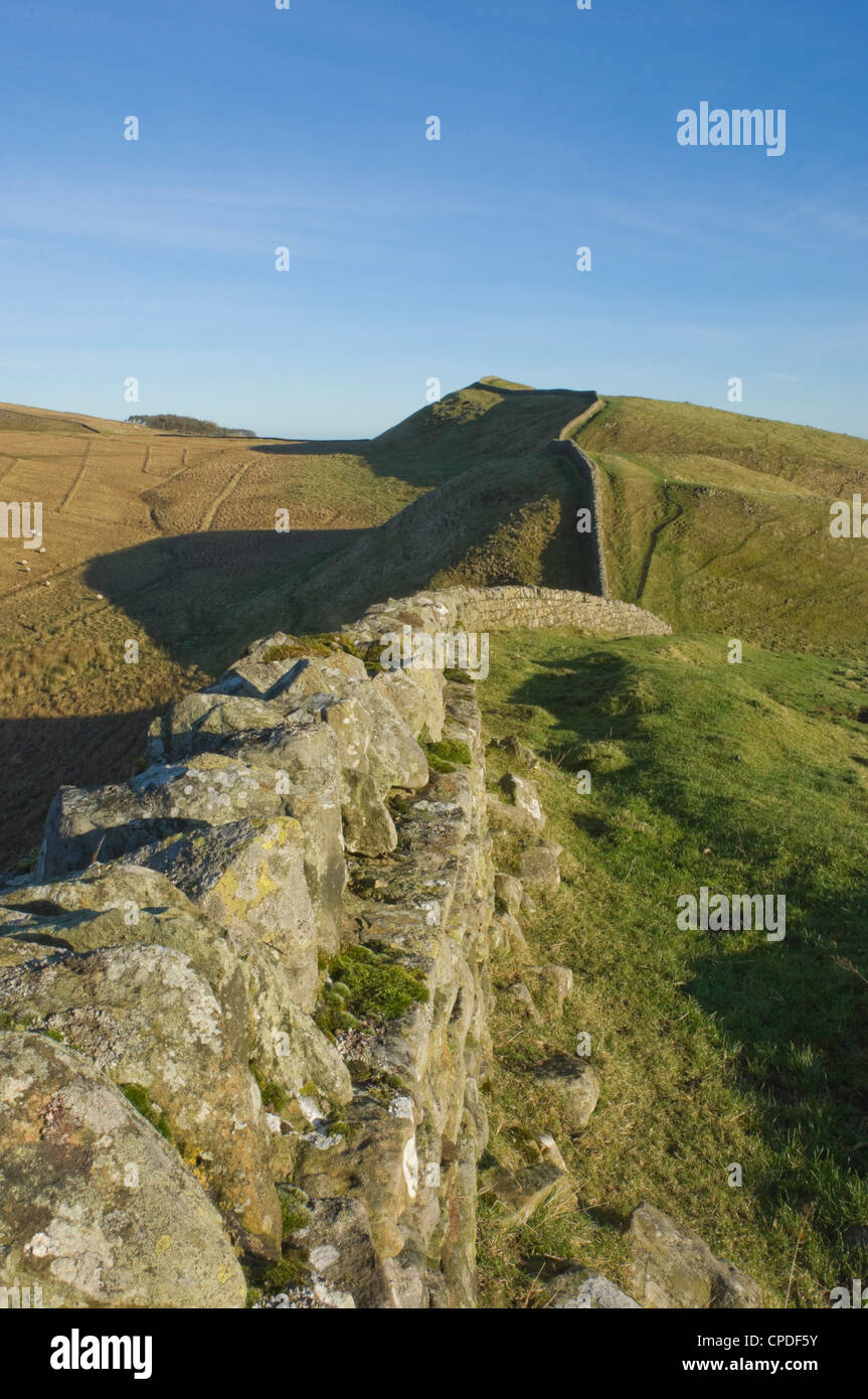 Ost-Kings Hill, Hadrian Wall, Northumbria Nationalpark, Northumbria, England, Vereinigtes Königreich, Europa anzeigen Stockfoto