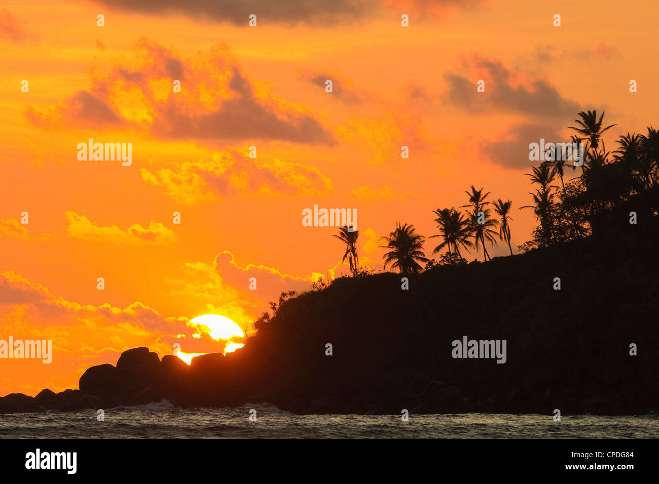 Sonnenuntergang und Palmen Bäume auf den westlichen Punkt der Südküste Surfstrand in Mirissa, in der Nähe von Matara, südlichen Provinz, Sri Lanka Stockfoto