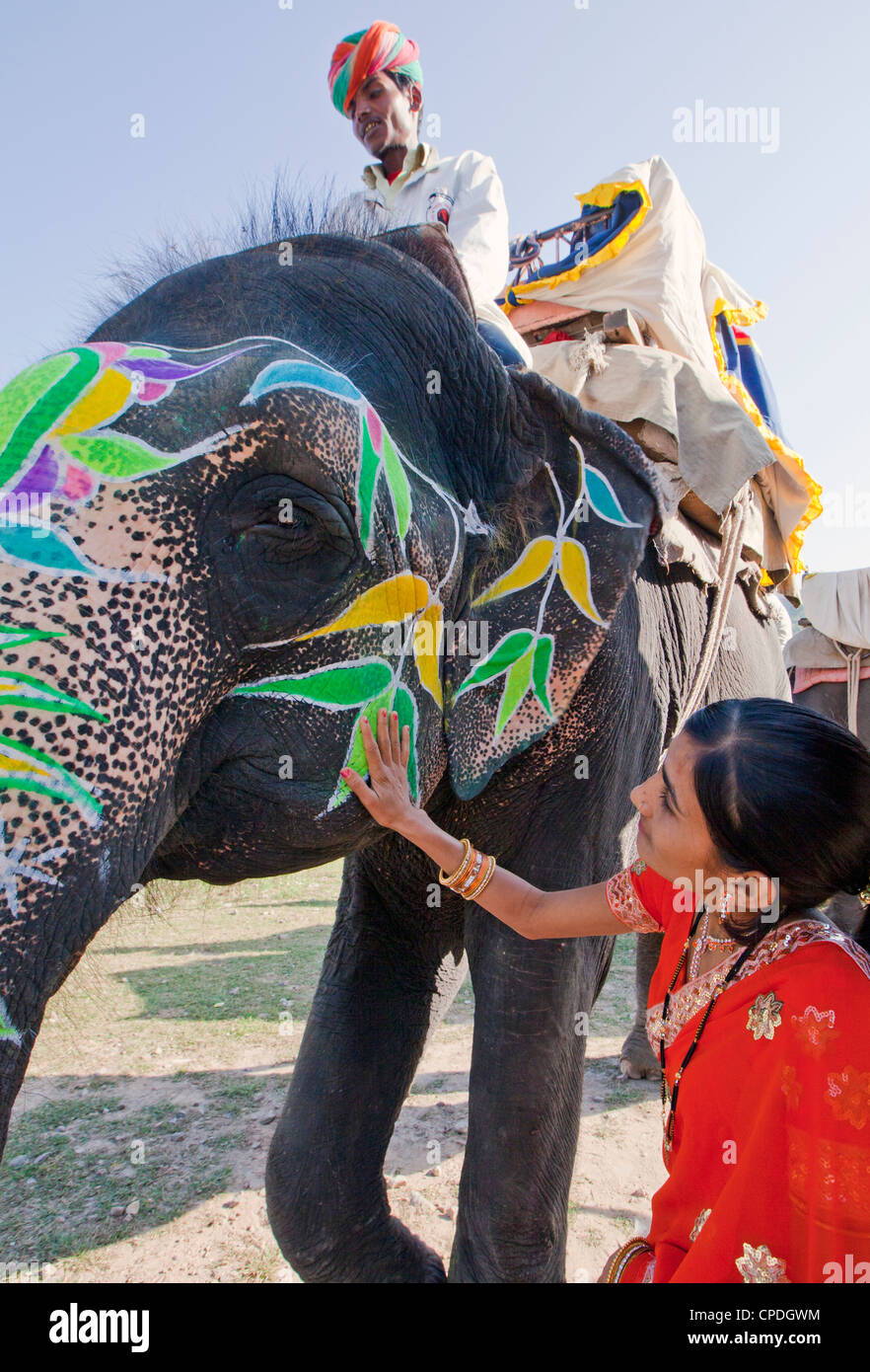 Frau im bunten Sari mit einem gemalten zeremonielle Elefanten in Jaipur, Rajasthan, Indien, Asien Stockfoto