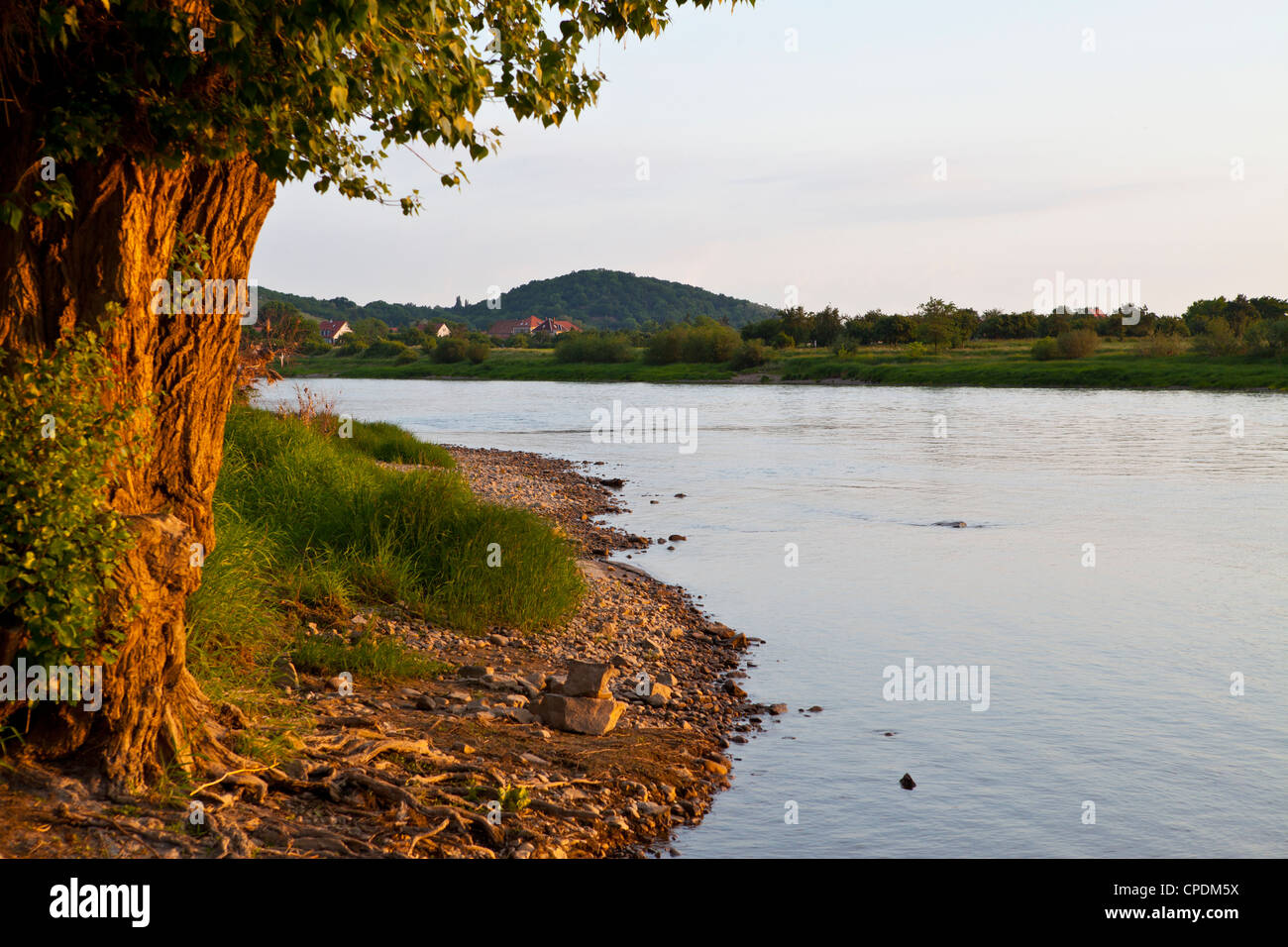 Der mächtige Fluss Elbe, Niedersachsen, Deutschland, Europa Stockfoto