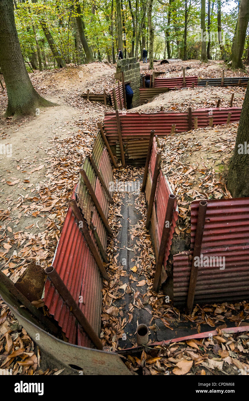Weltkrieg 1 Gräben im Sanctuary Holz, Ypern, Belgien Stockfoto