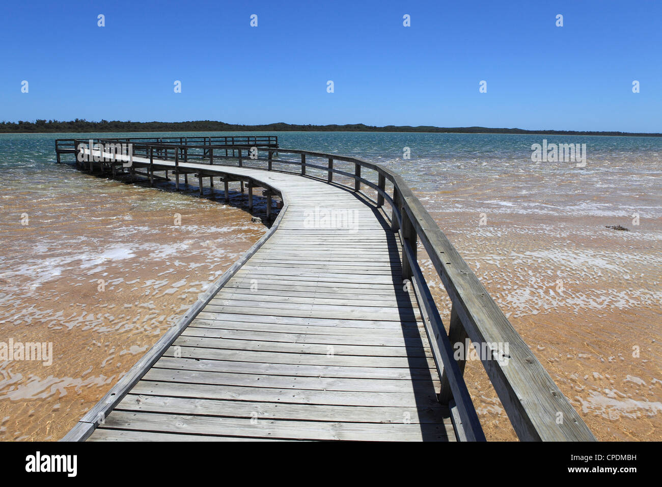 Holzsteg zum Anzeigen von Thrombolites in Lake Clifton, Yalgorup National Park, Western Australia, Australien, Pazifik Stockfoto