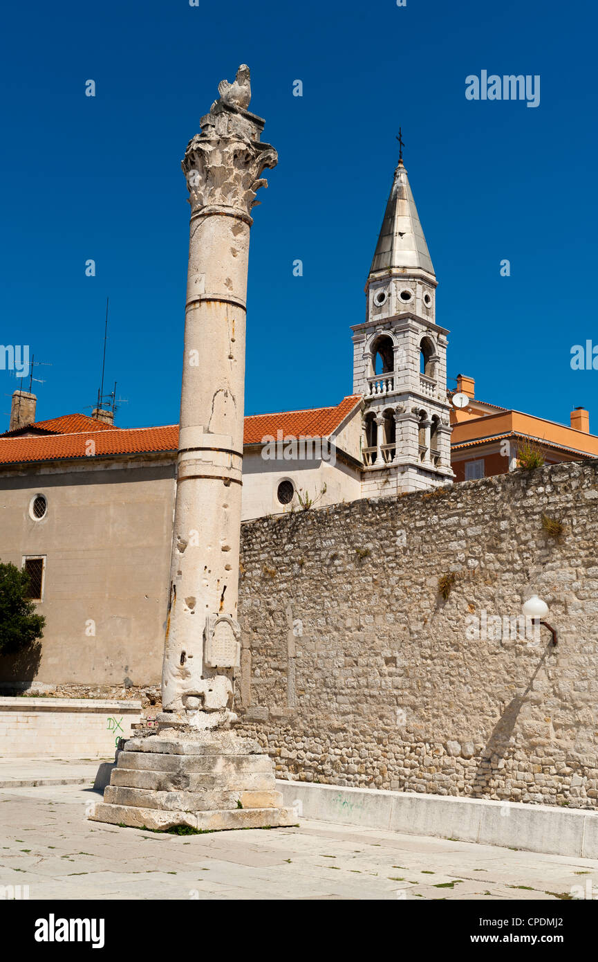 Forum, Zadar, Zadar County, Region Dalmatien, Kroatien, Europa Stockfoto
