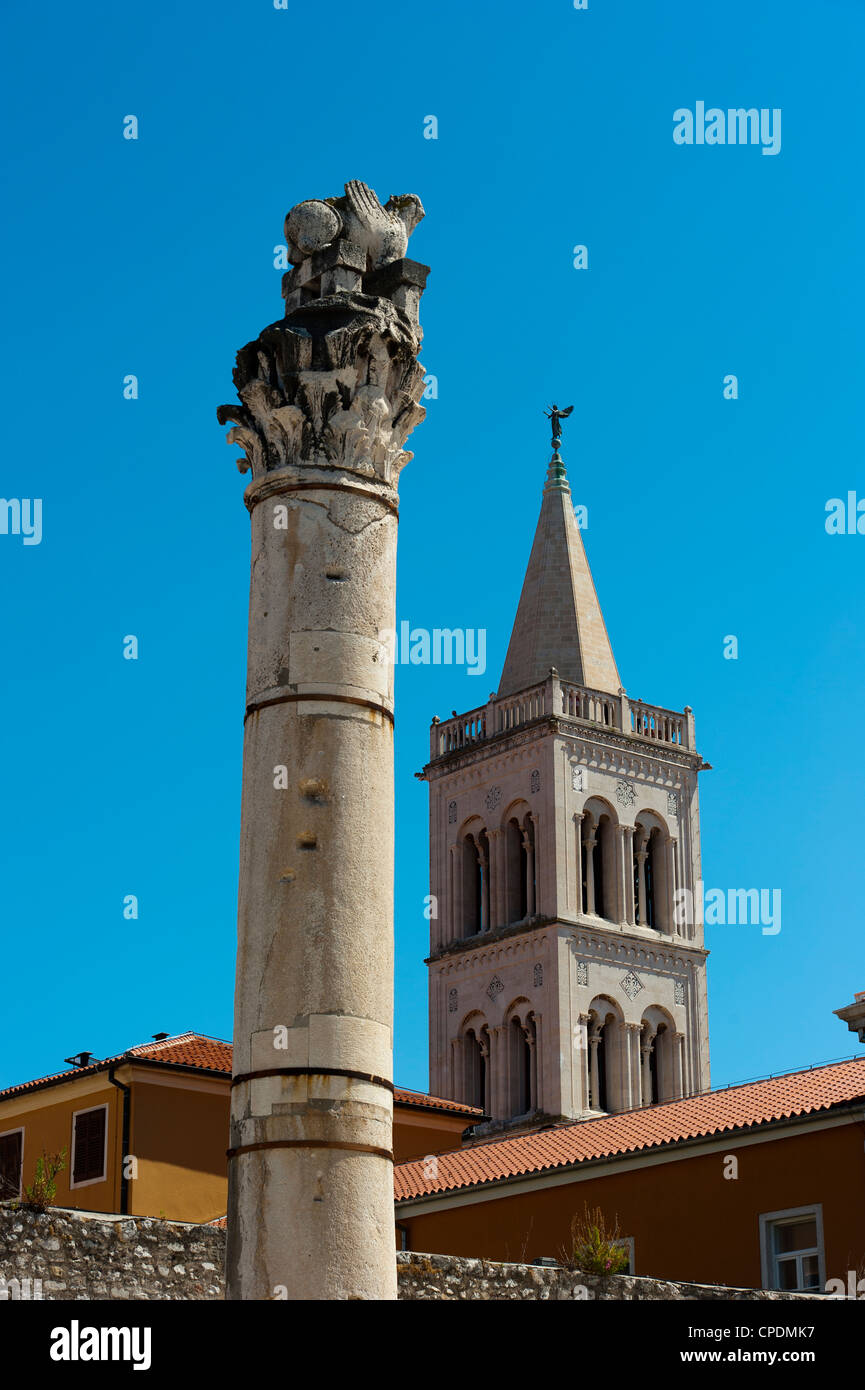Forum, Zadar, Zadar County, Region Dalmatien, Kroatien, Europa Stockfoto
