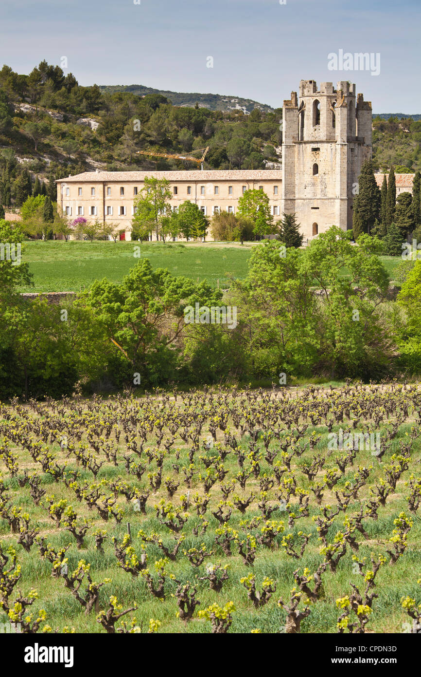 Blick auf die Abtei Sainte-Marie-d'Orbieu, Lagrasse, über Weinberge in Languedoc-Roussillon, Frankreich, Europa Stockfoto
