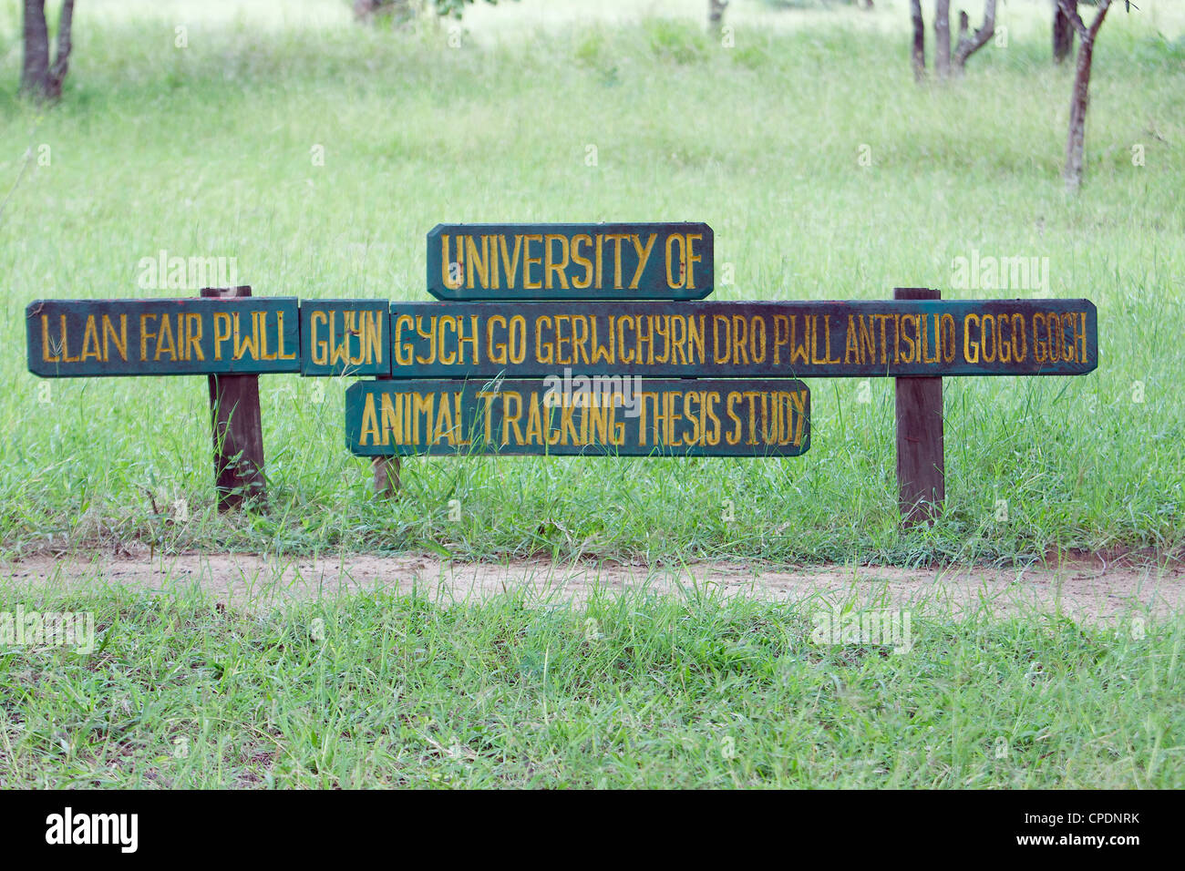 Universität von Llanfairpwllgwyngyllgogerychwyrndrobwllllantysiliogogogoch Zeichen Mikumi Nationalpark am RESEARCH. Tansania Afrika. Stockfoto