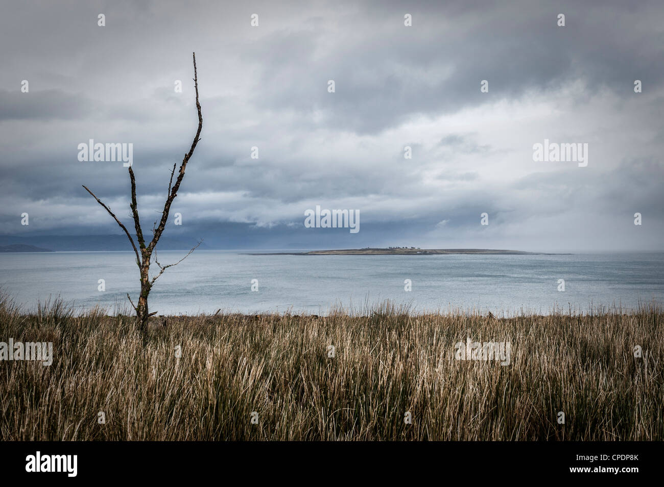 Toter Baum mit Blick auf die Isle of Pabay von der Isle Of Skye, Highlands, Schottland, UK Stockfoto