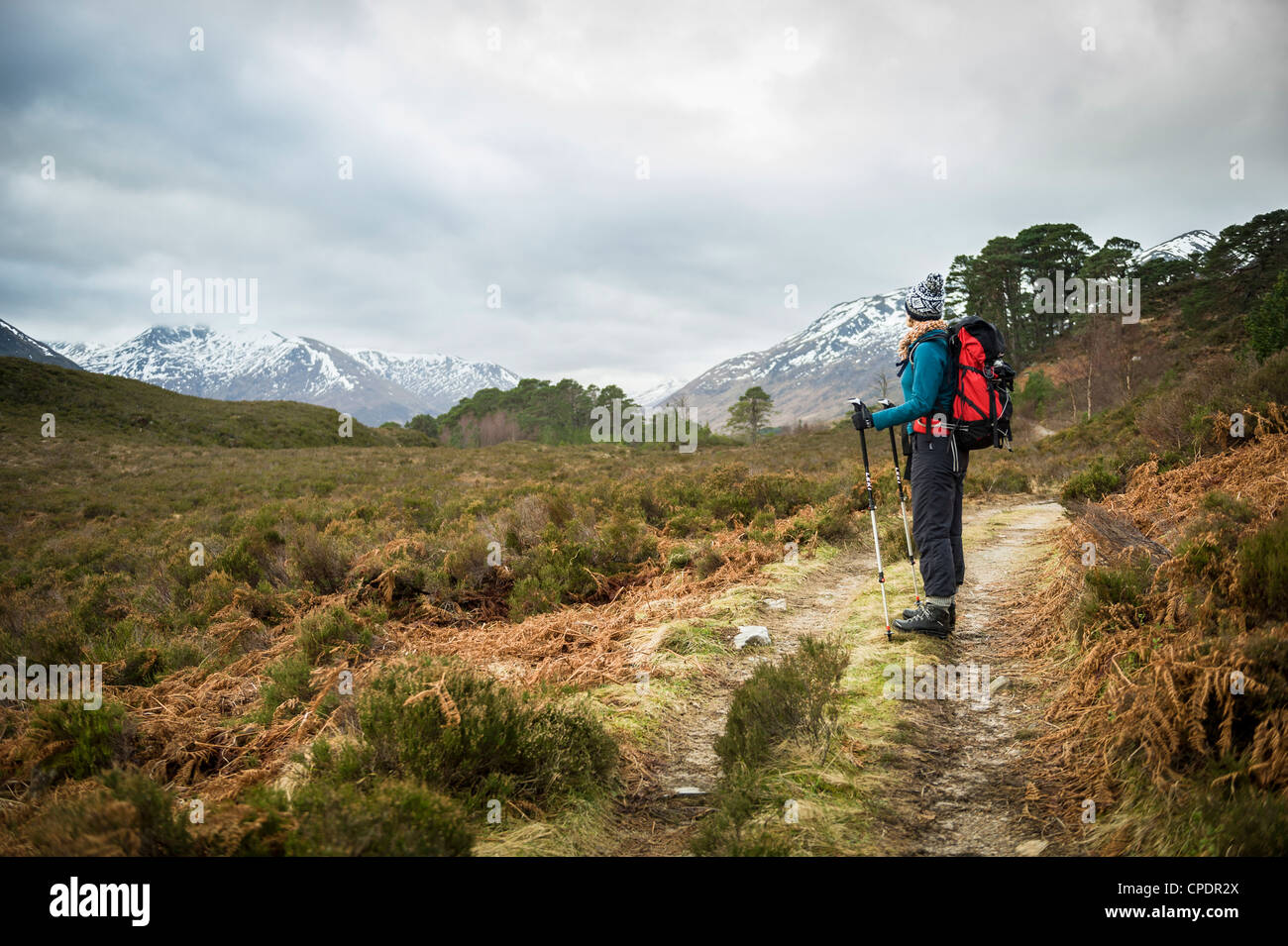 Walker herumlaufen Glen Affric, Glen Affric, Highlands, Schottland, Vereinigtes Königreich Stockfoto